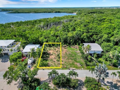Beach Lot For Sale in Key Largo, Florida