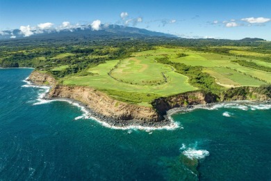 Beach Acreage For Sale in Haiku, Hawaii