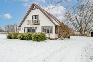 Beach Home For Sale in Three Oaks, Michigan