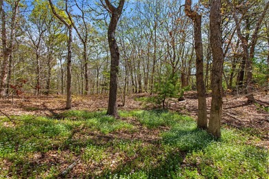 Beach Acreage For Sale in Brewster, Massachusetts