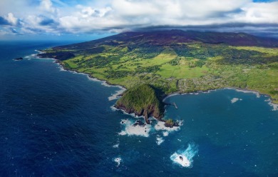 Beach Home For Sale in Hana, Hawaii