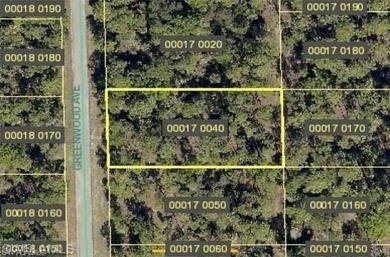 Beach Lot For Sale in Lehigh Acres, Florida