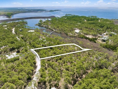 Beach Lot For Sale in Panama City Beach, Florida