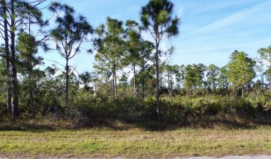 Beach Lot For Sale in Port Charlotte, Florida