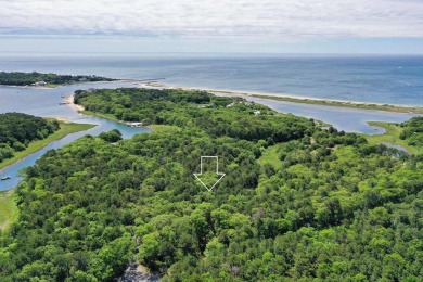 Beach Acreage For Sale in Osterville, Massachusetts