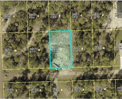 Beach Lot For Sale in Lehigh Acres, Florida