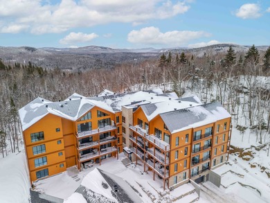 Beach Condo For Sale in Mont-Tremblant, 