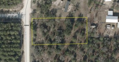 Beach Lot For Sale in Perry, Florida