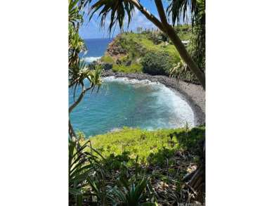 Beach Acreage For Sale in Haiku, Hawaii
