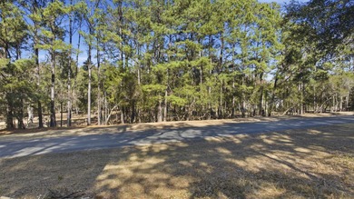 Beach Lot Sale Pending in Pawleys Island, South Carolina