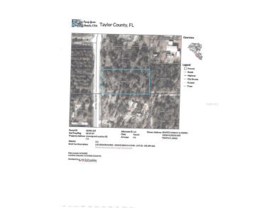 Beach Lot For Sale in Perry, Florida