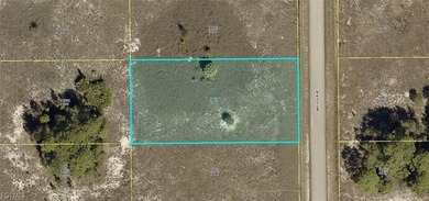Beach Lot For Sale in Lehigh Acres, Florida