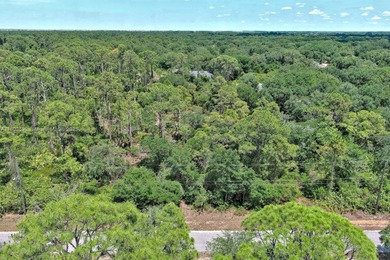 Beach Lot For Sale in Lehigh Acres, Florida