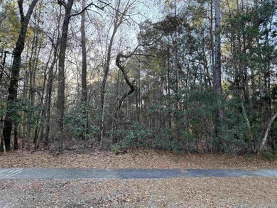 Beach Lot For Sale in Georgetown, South Carolina