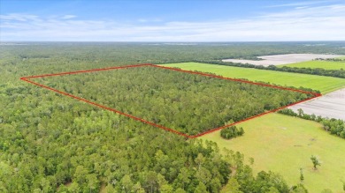 Beach Acreage For Sale in Bunnell, Florida