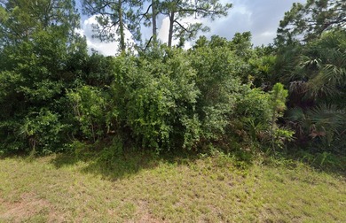 Beach Lot For Sale in North Port, Florida