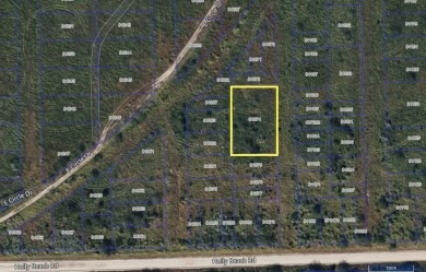 Beach Lot For Sale in Laguna Vista, Texas