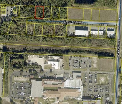 Beach Lot For Sale in Santa Rosa Beach, Florida