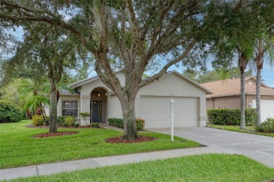 Beach Home For Sale in Trinity, Florida