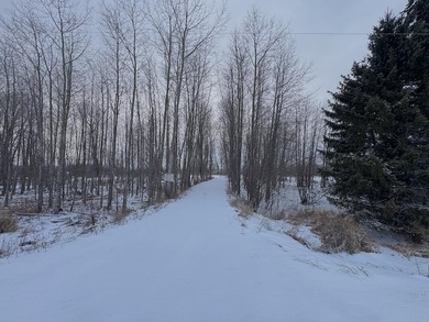 Beach Lot For Sale in Tawas City, Michigan