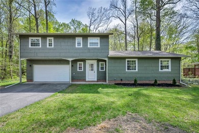 Beach Home For Sale in Mentor, Ohio