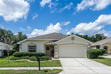 Beach Home For Sale in Land O Lakes, Florida