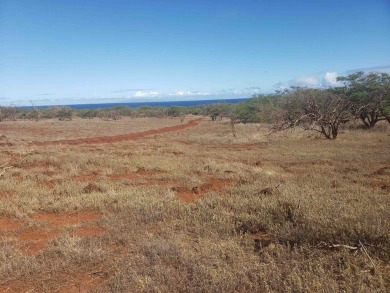 Beach Acreage For Sale in Maunaloa, Hawaii