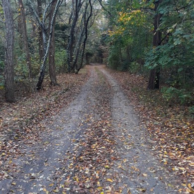 Beach Acreage For Sale in Sandwich, Massachusetts