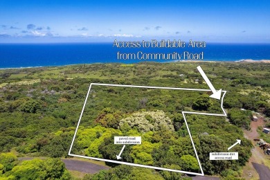 Beach Acreage For Sale in Hana, Hawaii