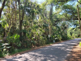 Beach Lot Off Market in New Smyrna Beach, Florida