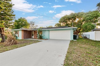 Beach Home For Sale in Dunedin, Florida