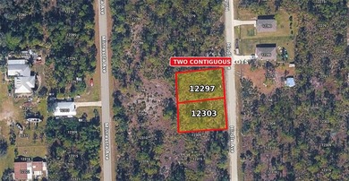 Beach Lot For Sale in Punta Gorda, Florida