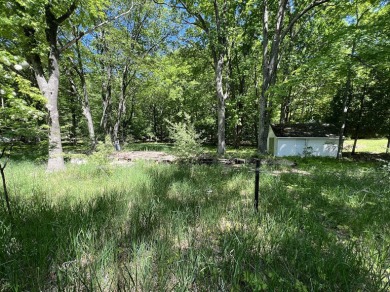 Beach Lot Off Market in Arcadia, Michigan