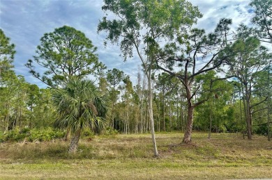 Beach Lot For Sale in Punta Gorda, Florida