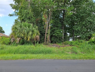 Beach Lot Sale Pending in Palm Coast, Florida