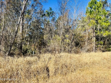 Beach Lot For Sale in Bay Saint Louis, Mississippi