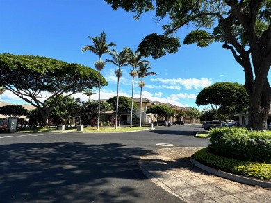 Beach Commercial For Sale in Kihei, Hawaii