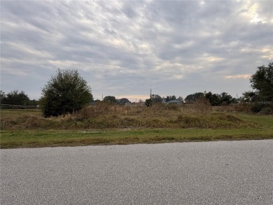 Beach Lot For Sale in Punta Gorda, Florida