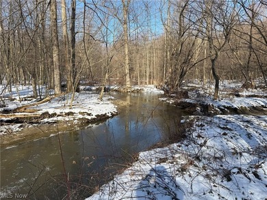 Beach Acreage Sale Pending in Conneaut, Ohio