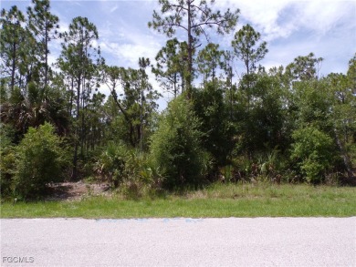 Beach Lot For Sale in Punta Gorda, Florida