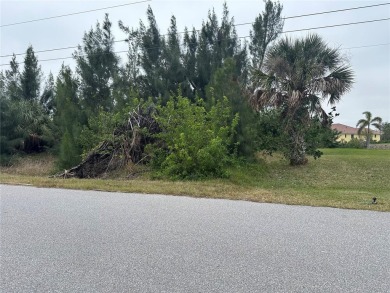 Beach Lot For Sale in Port Charlotte, Florida