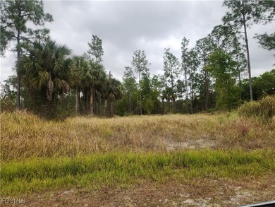Beach Lot For Sale in Lehigh Acres, Florida