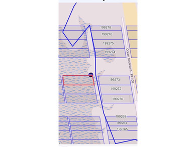 Beach Lot For Sale in South Padre Island, Texas