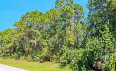 Beach Lot For Sale in North Port, Florida