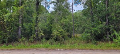 Beach Lot For Sale in Bunnell, Florida