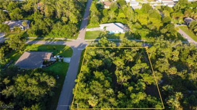 Beach Lot For Sale in Port Charlotte, Florida