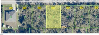 Beach Lot For Sale in Port Charlotte, Florida