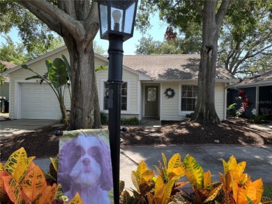 Beach Home For Sale in Palm Harbor, Florida