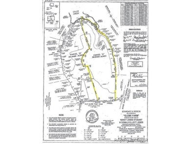 Beach Acreage Sale Pending in Burgess, Virginia