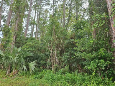 Beach Lot For Sale in Palm Coast, Florida